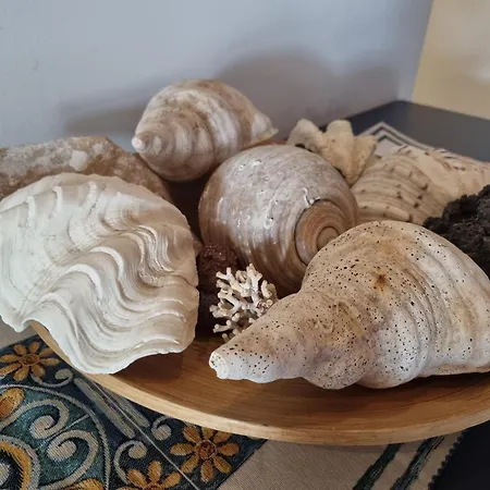 Sicily Sul Mare Tra Catania E Siracusa Augusta